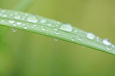 《风来之国》复活吧海鸥镇DLC确定1月31日发售